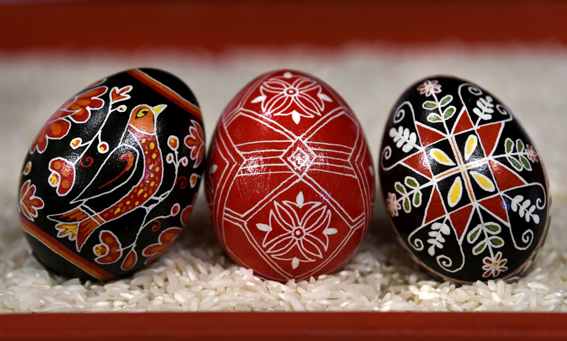 040118 eggs3 kw.jpg